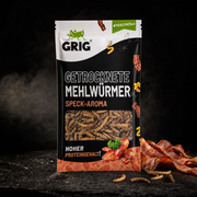 Dried Mealworms 13 g – premium packshot