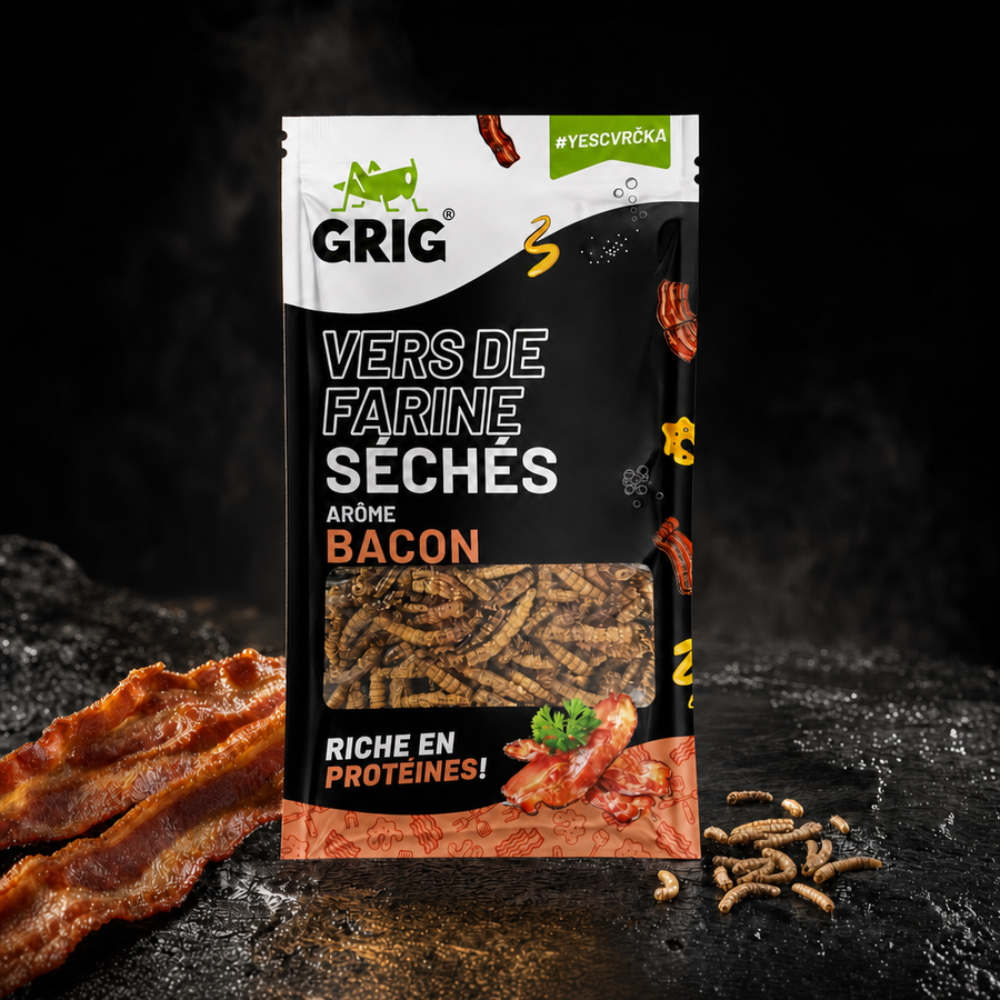 Dried Mealworms 13 g – premium packshot