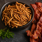 Dried Mealworms 13 g – product close-up bacon