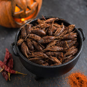 Halloween Dare Box — 4 packs – BBQ crickets close-up