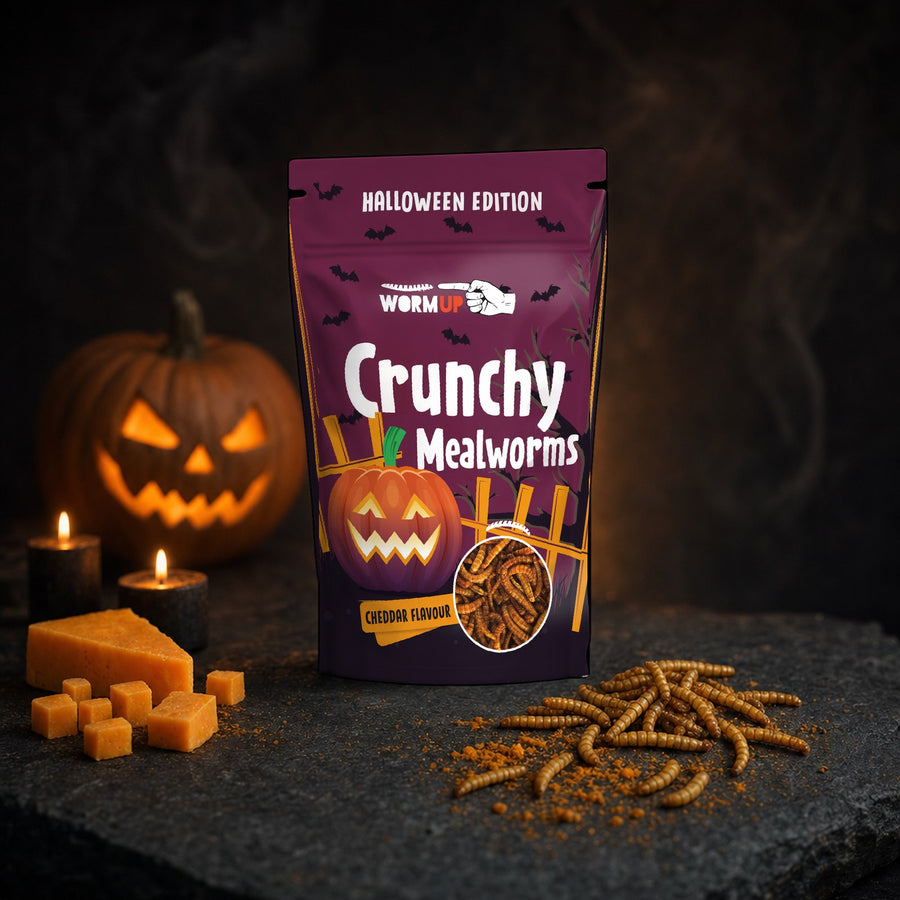 Crunchy Mealworms Cheddar — Halloween Edition 20 g – premium packshot