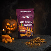 Crunchy Mealworms Cheddar — Halloween Edition 20 g – premium packshot