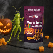 Crunchy Mealworms Cheddar — Halloween Edition 20 g – GRIG mascot beside the pack