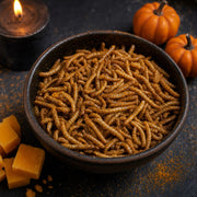 Crunchy Mealworms Cheddar — Halloween Edition 20 g – product close-up