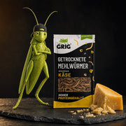 Getrocknete Mehlwürmer 13 g – GRIG neben der Tüte