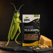Dried Mealworms 13 g – GRIG mascot beside the pack