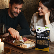 Dried Mealworms 13 g – lifestyle photo