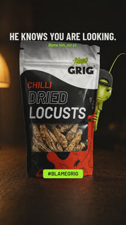 GRIG chilli locusts, meet the product