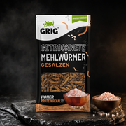 Dried Mealworms 13 g – premium packshot