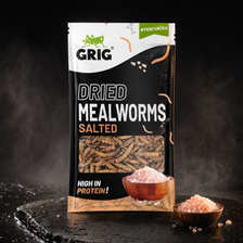 Dried Mealworms 13 g