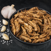 Space Edition Crickets 13 g – product close-up