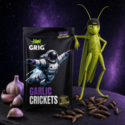 Space Edition Crickets 13 g – GRIG mascot beside the pack