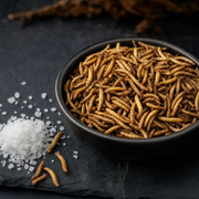 Space Edition Mealworms 13 g – product close-up