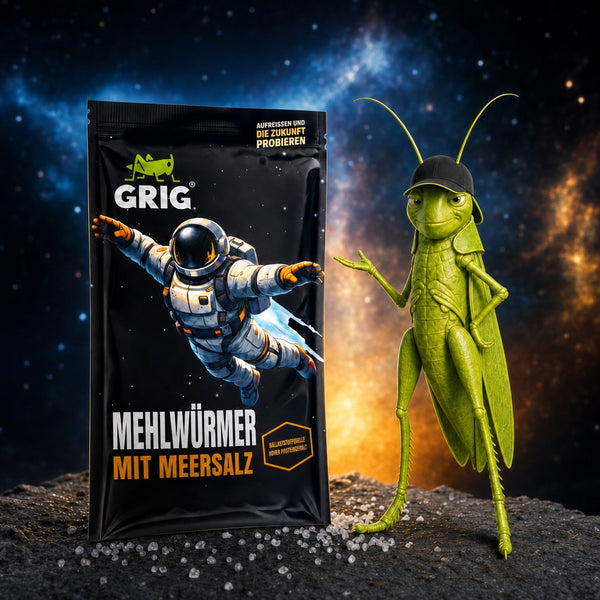 Space Edition Mehlwürmer 13 g – GRIG neben der Tüte