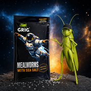 Space Edition Mealworms 13 g – GRIG mascot beside the pack