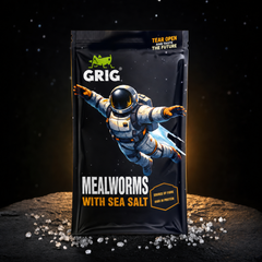 Space Edition Mehlwürmer 13 g